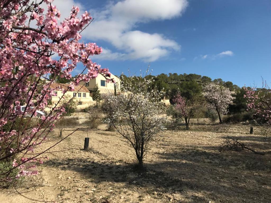 Finca Las Estrellas Relleu Экстерьер фото